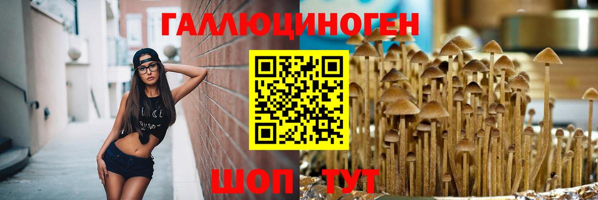 Псилоцибиновые грибы мицелий Астрахань
